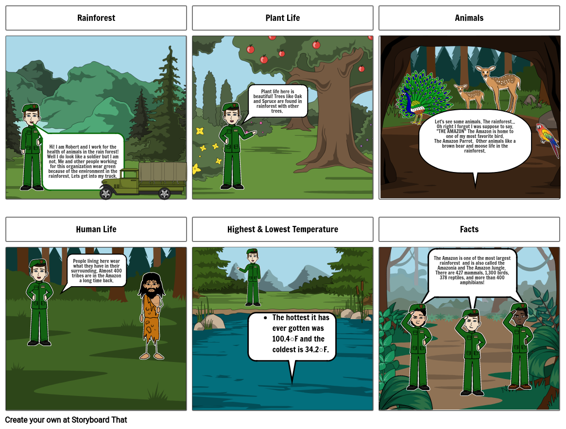 Rainforest Region Storyboard af anish10758