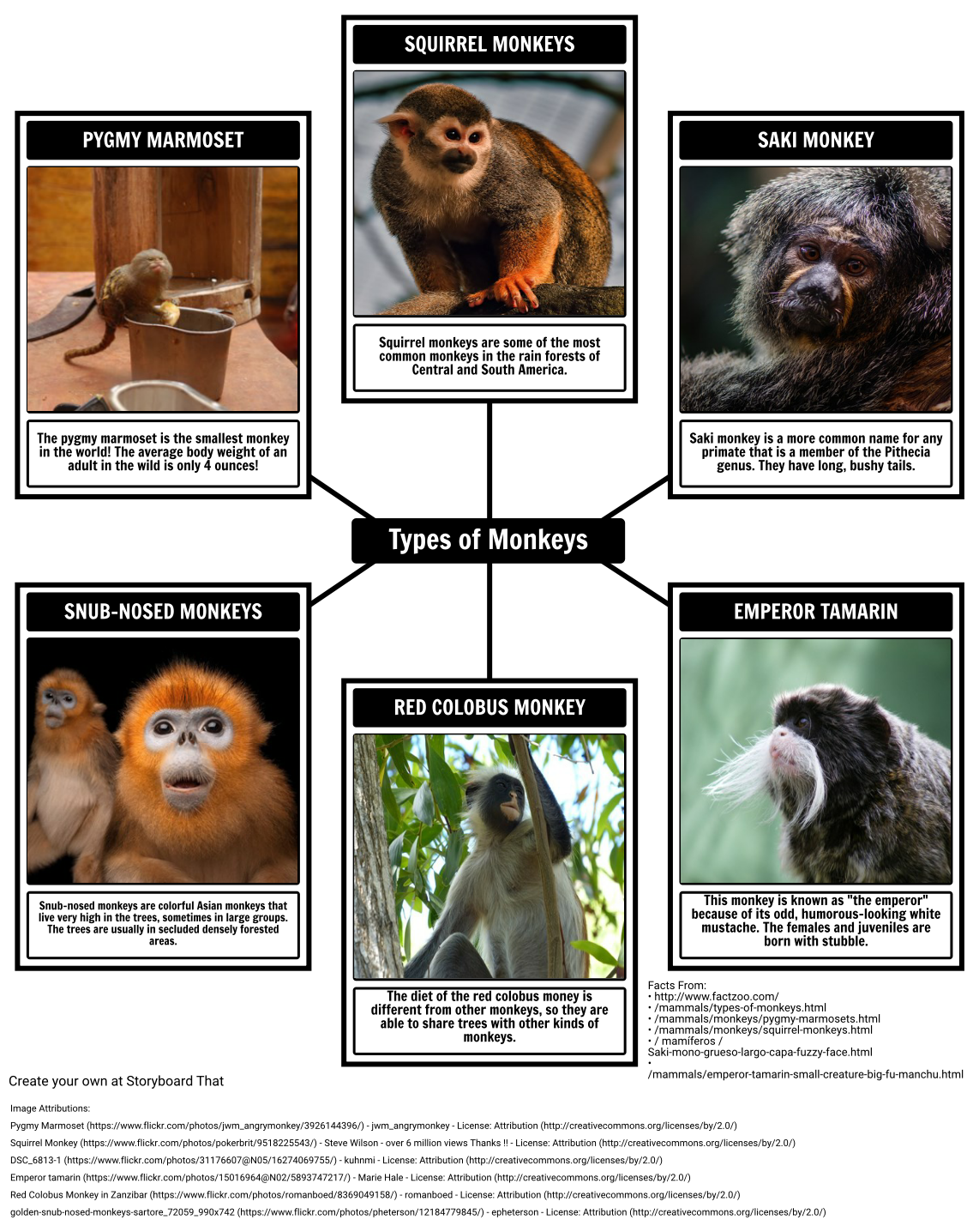 map monkeys        <h3 class=