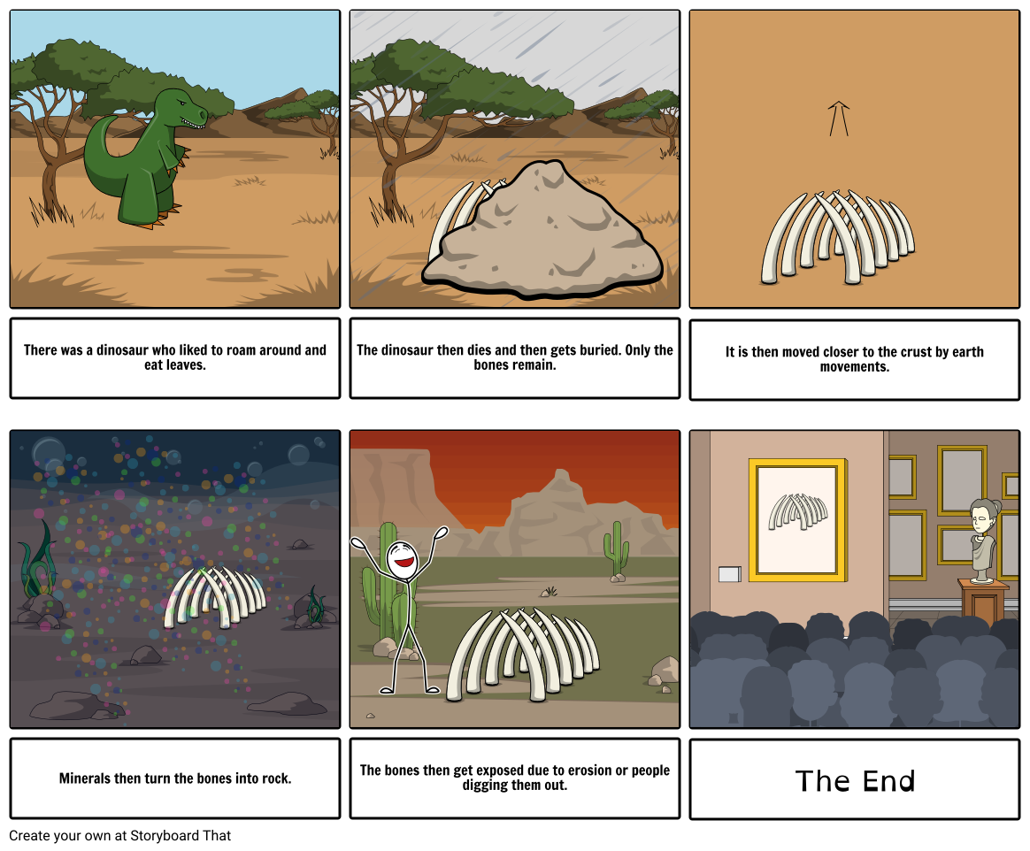 How Fossils Are Made Storyboard by anonymous1234567890