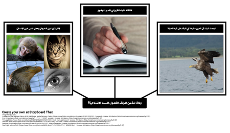 رؤية العين إلى العين - العلاقة بين الفقرات