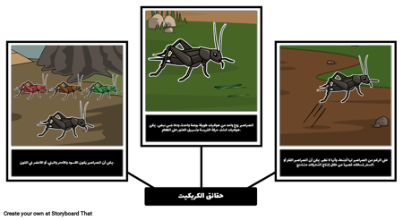 الكريكيت في تايمز سكوير - كريكيت حقائق