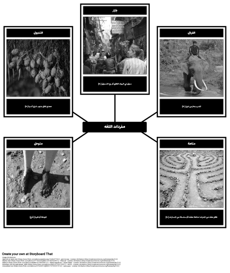 المفردات في "اطلاق النار على الفيل"