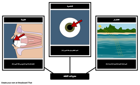 رؤية العين إلى العين - المفردات