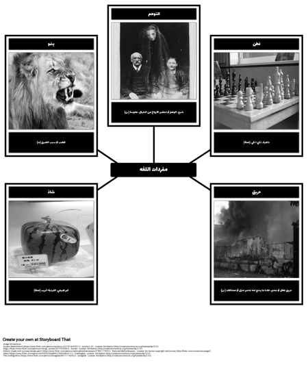 المفردات في القطة السوداء