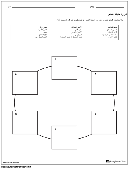 دورة حياة ورقة عمل النجمة