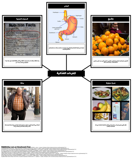 الغذاء والتغذية المفردات