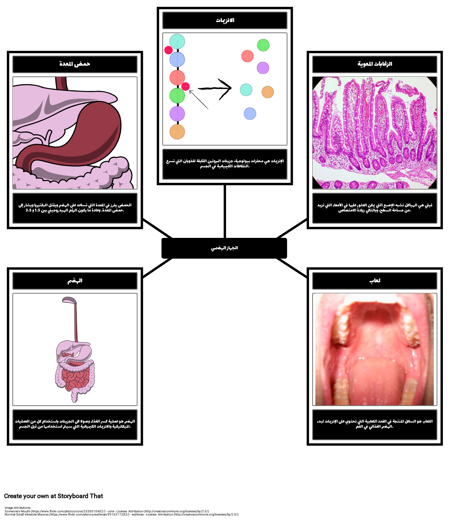 الجهاز الهضمي المفردات