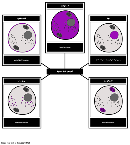 أجزاء من خلية حيوانية