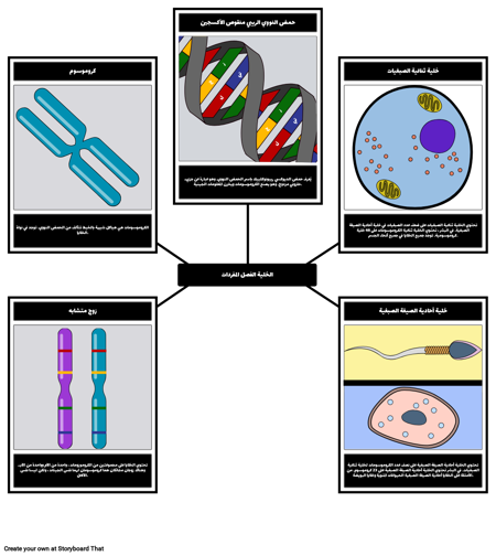 الخلية الفصل المفردات