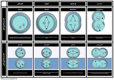 الانقسام الاختزالي