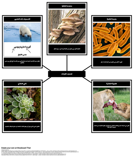 تصنيف المفردات