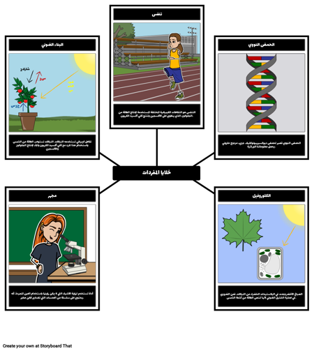 خلايا المفردات