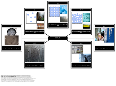 حالة المفردات