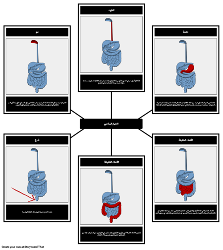 الجهاز الهضمي