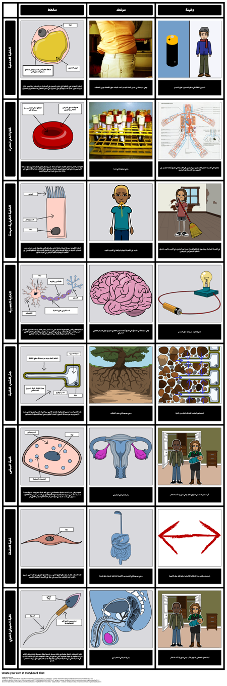 خلايا متخصصة