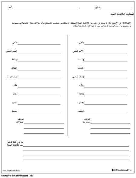 الرتبة التصنيفية