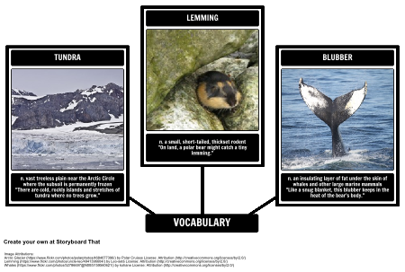 Where Do Polar Bears Live? Vocabulary