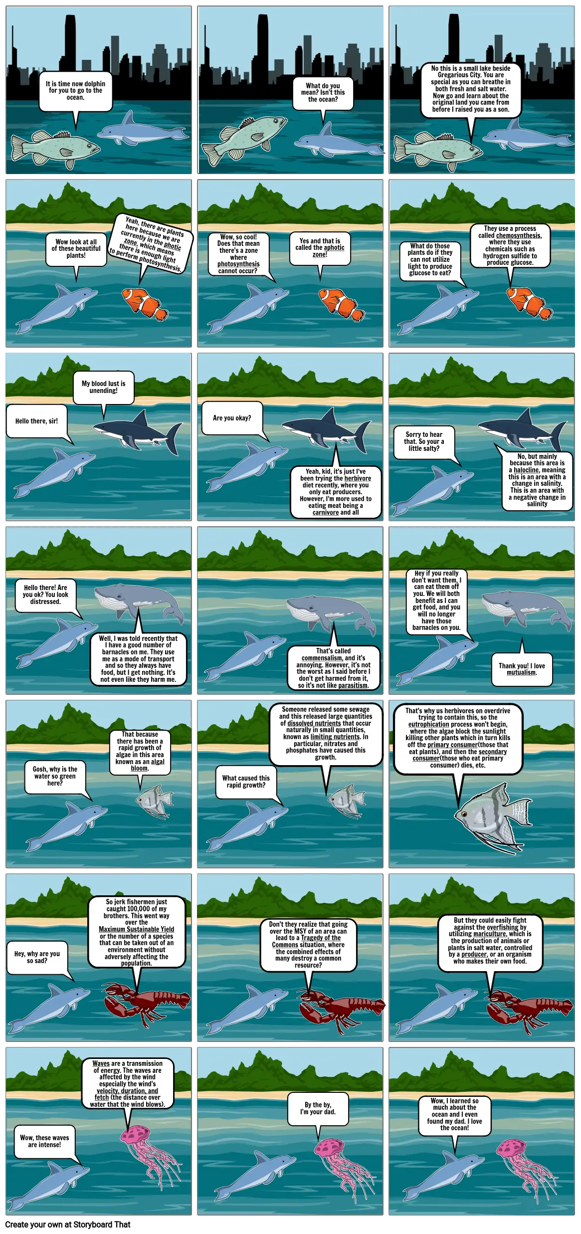 the adventure of fish and dolphin
