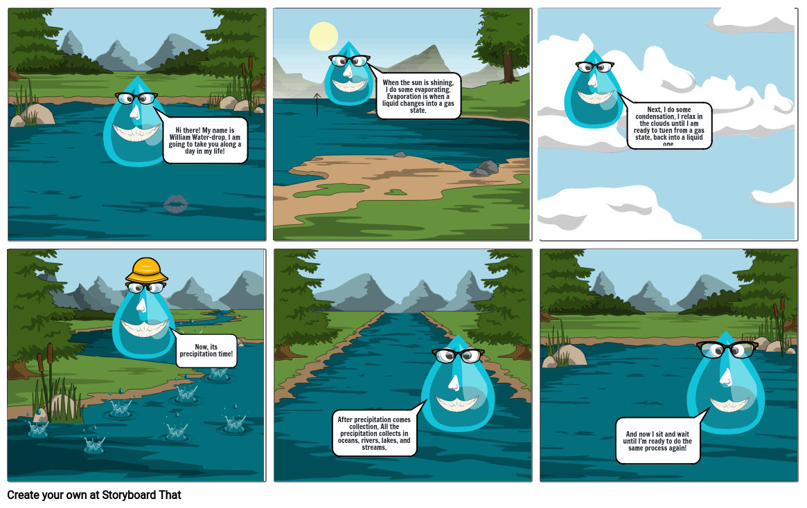 Day in the life: The Water Cycle