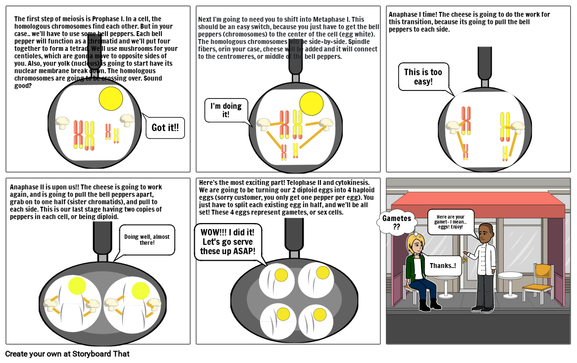 Meiosis Cartoon Strip Project