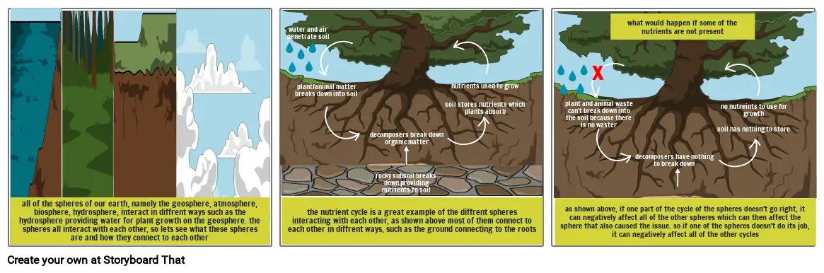 earth cycles and human impacts