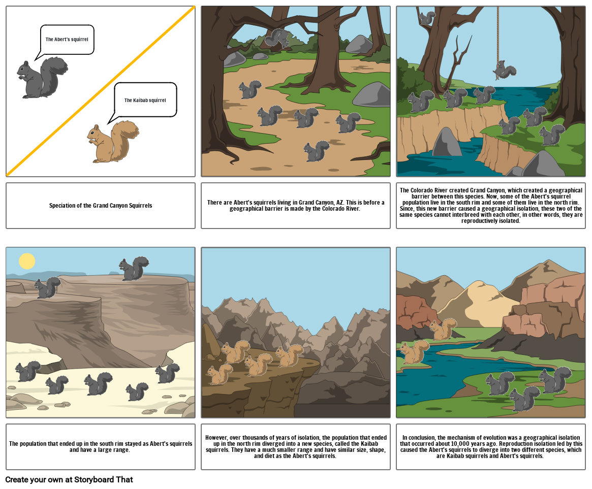 The Grand Canyon Squirrels Storyboard by b354db0e