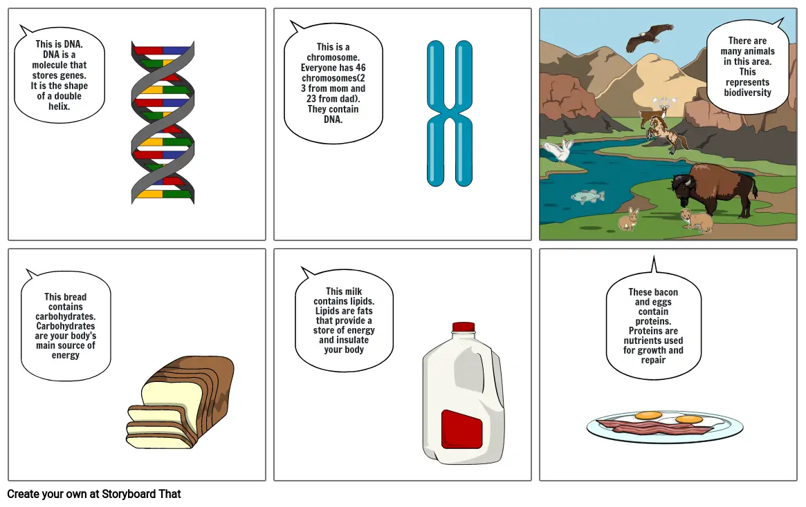 Science storyboard part 2