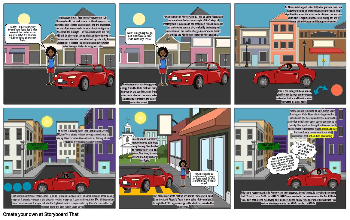 Photosystem II and Photosystem I Storyboard- Biology Alexi Lopez