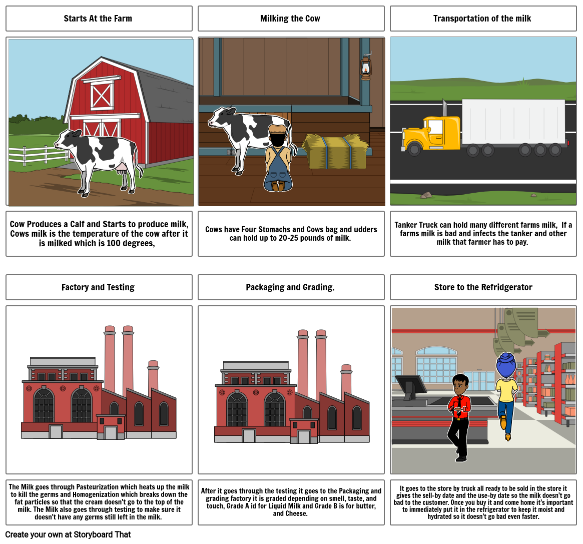 process-of-milk-to-the-table-storyboard-by-b37421b9