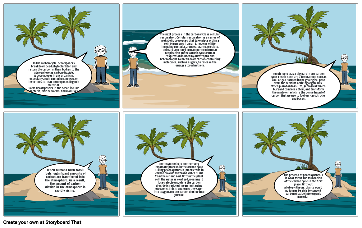 The Carbon Cycle