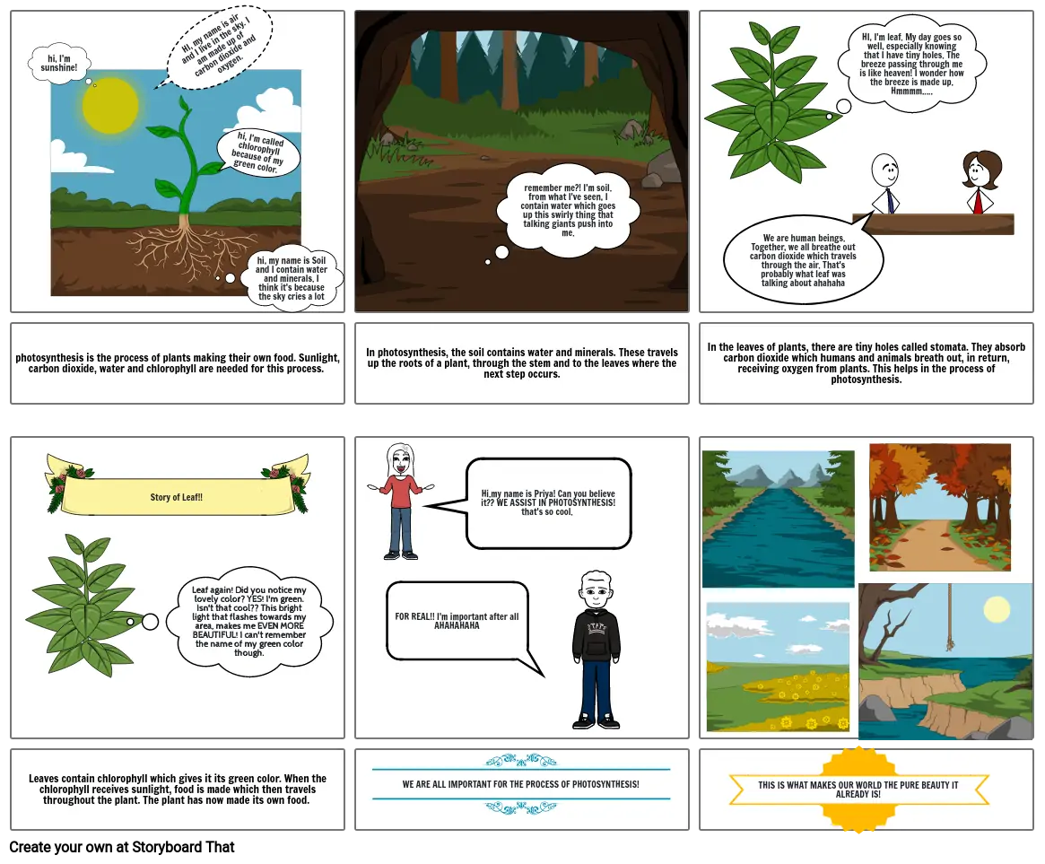 The story of Photosynthesis!