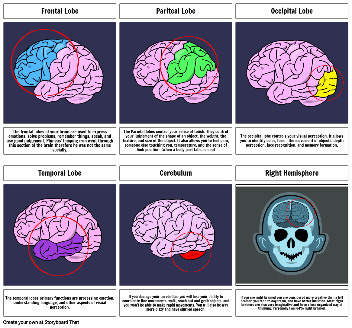 The Brain Storyboard por b4a34233