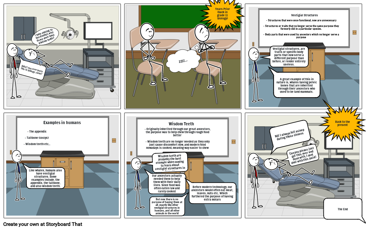 Evolution Comic Strip Storyboard By B564e264