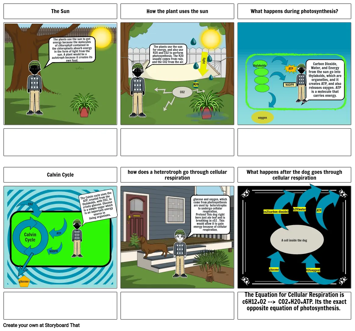 The photosynthesis-cellular respiration energy cycle simplified, By Quinn D