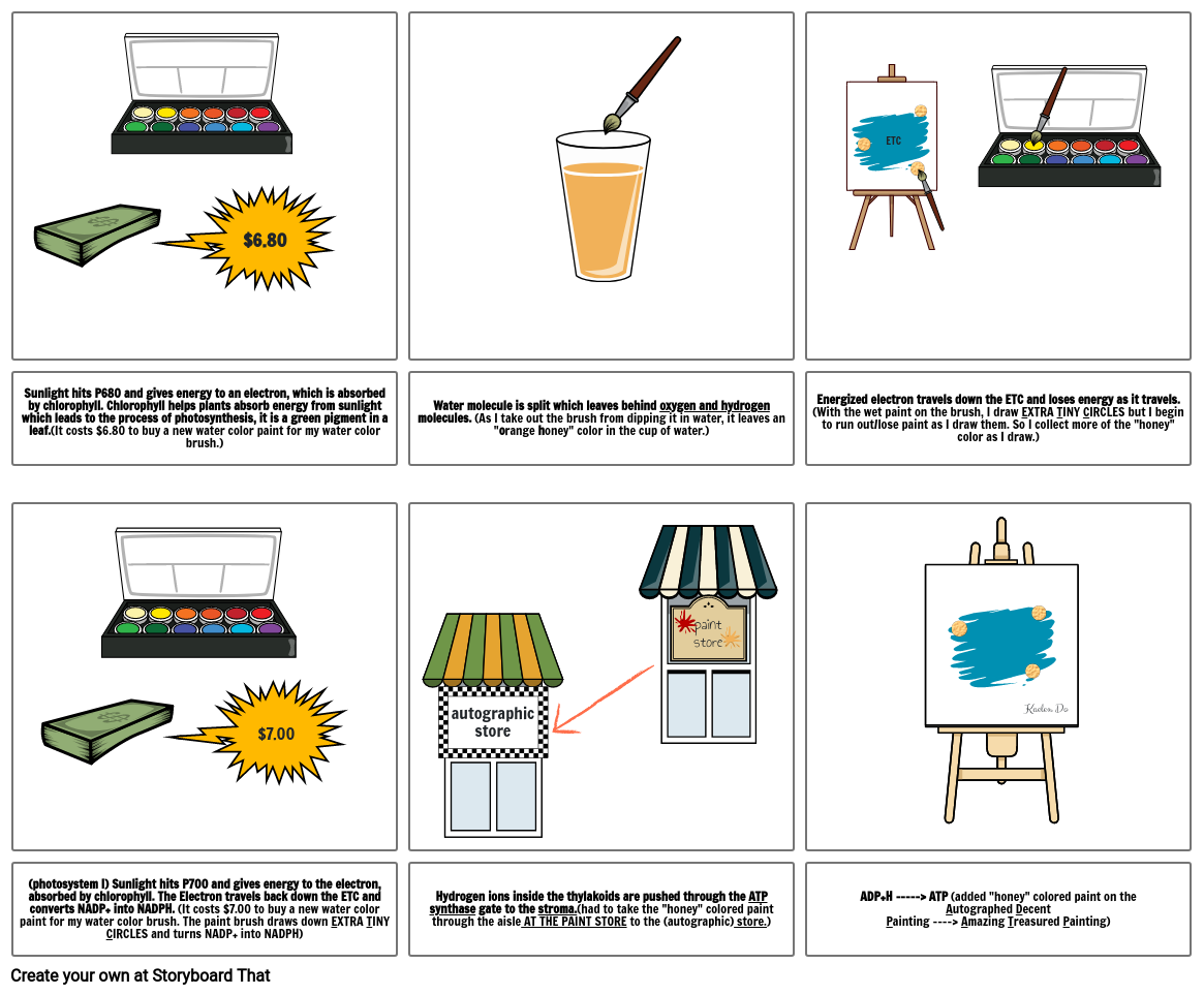Photosynthesis 1 2 Storyboard By B789f03f photosynthesis-1-2-storyboard-by-b789f03f