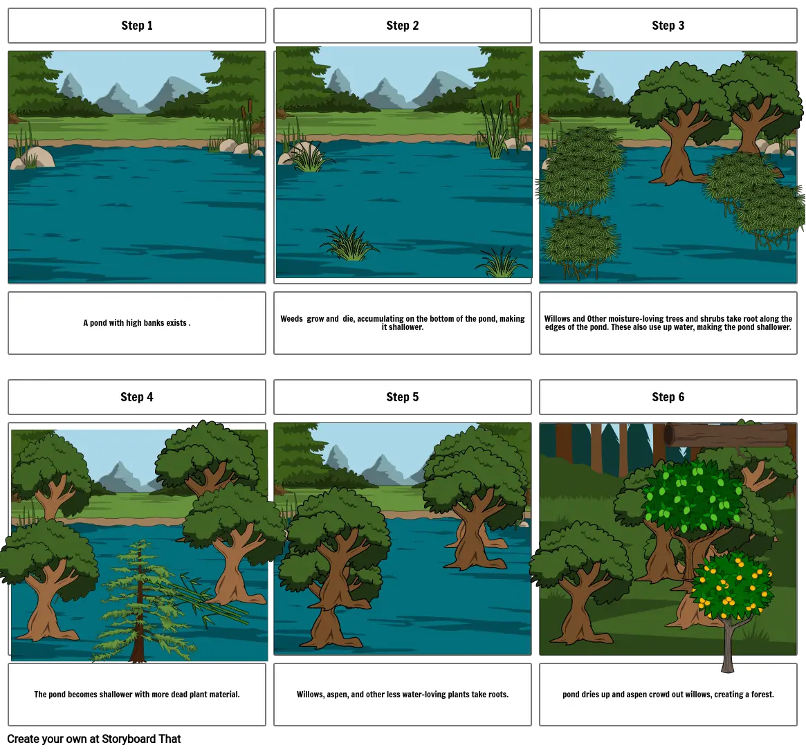 Succession of a forest