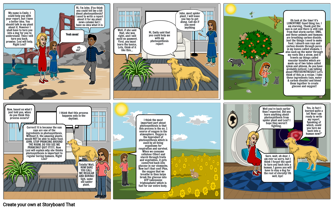 Photosynthesis process cartoon