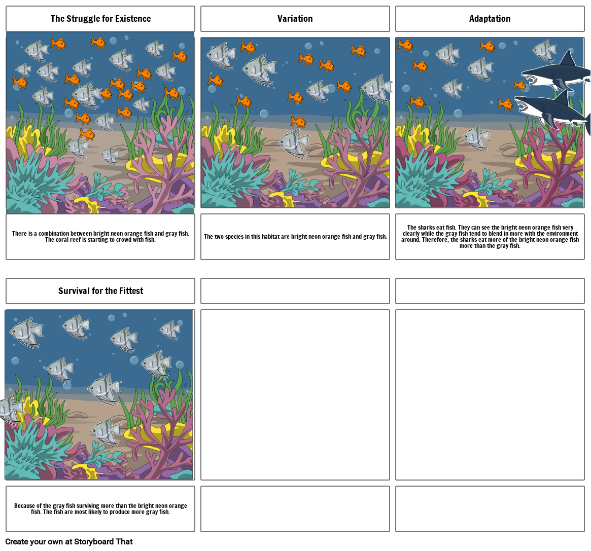 Natural Selection Storyboard