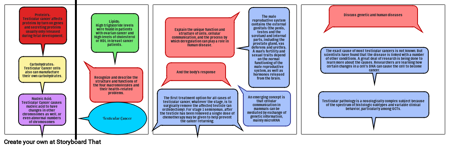 Final Multimedia Project