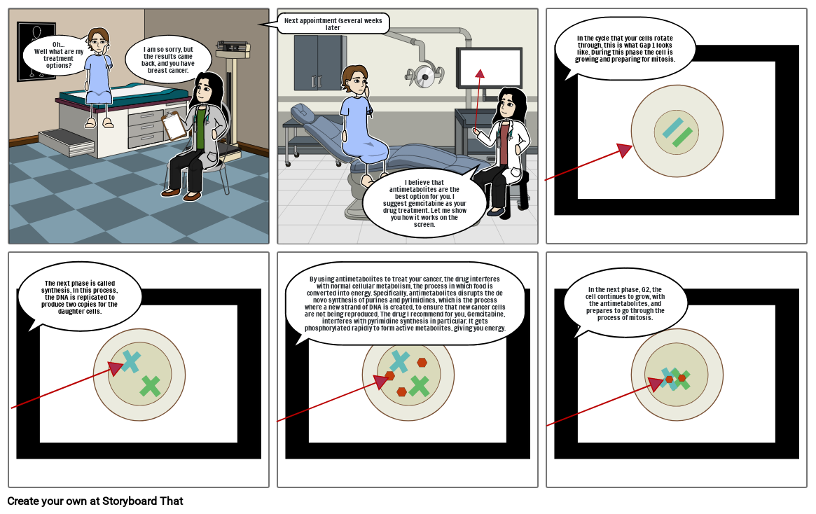 Chemotherapy and the Cell Cycle Project Storyboard