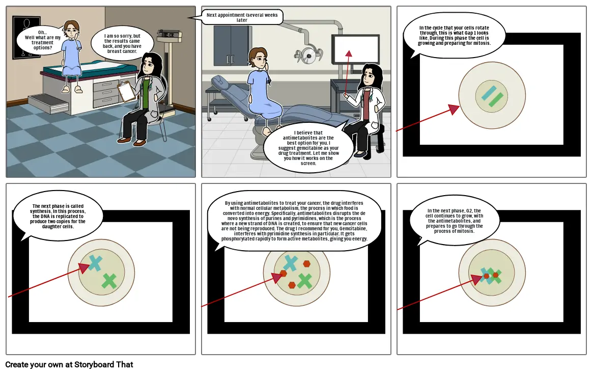 Chemotherapy and the Cell Cycle Project