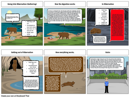 Science - Bear Hibernation