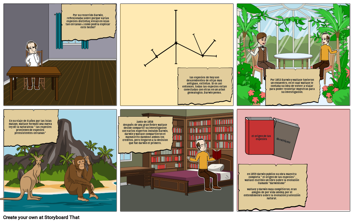 Evolución Storyboard By Bcc4a0c0