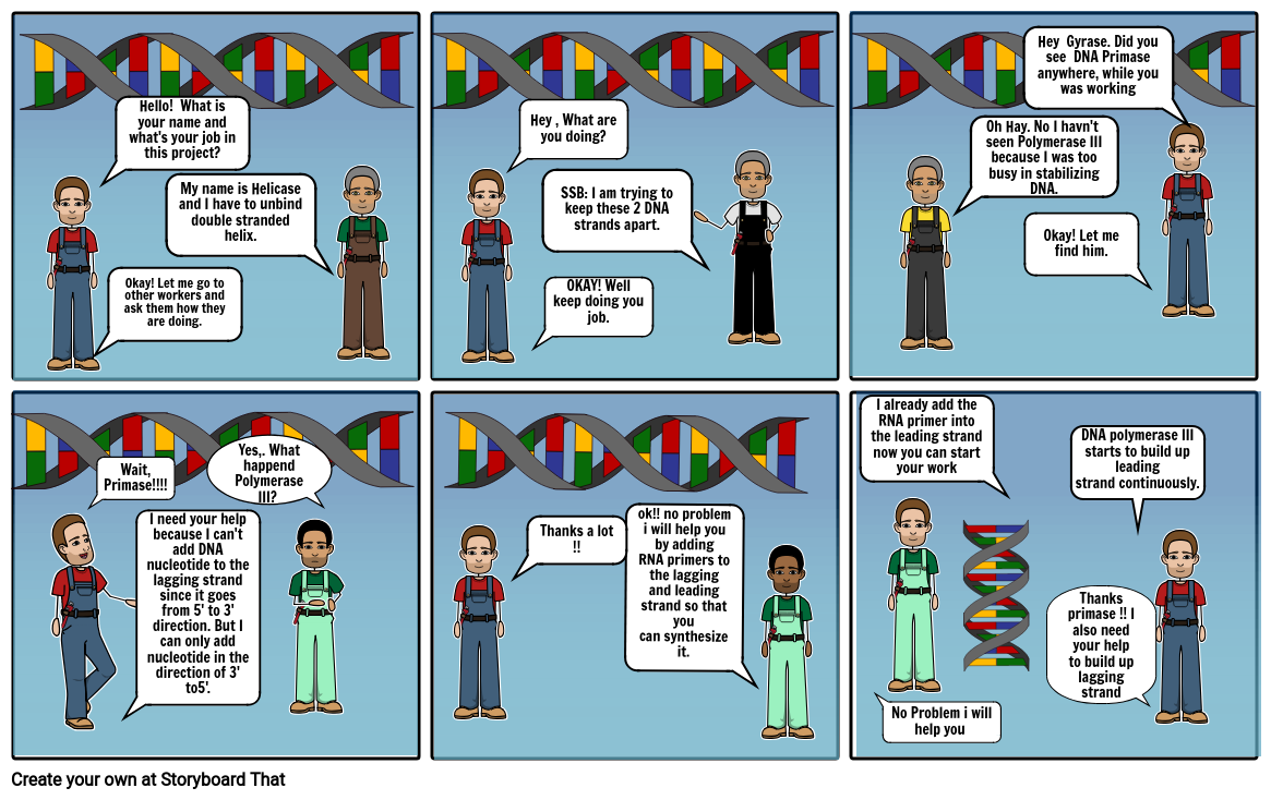 DNA Replication Storyboard by bd680726