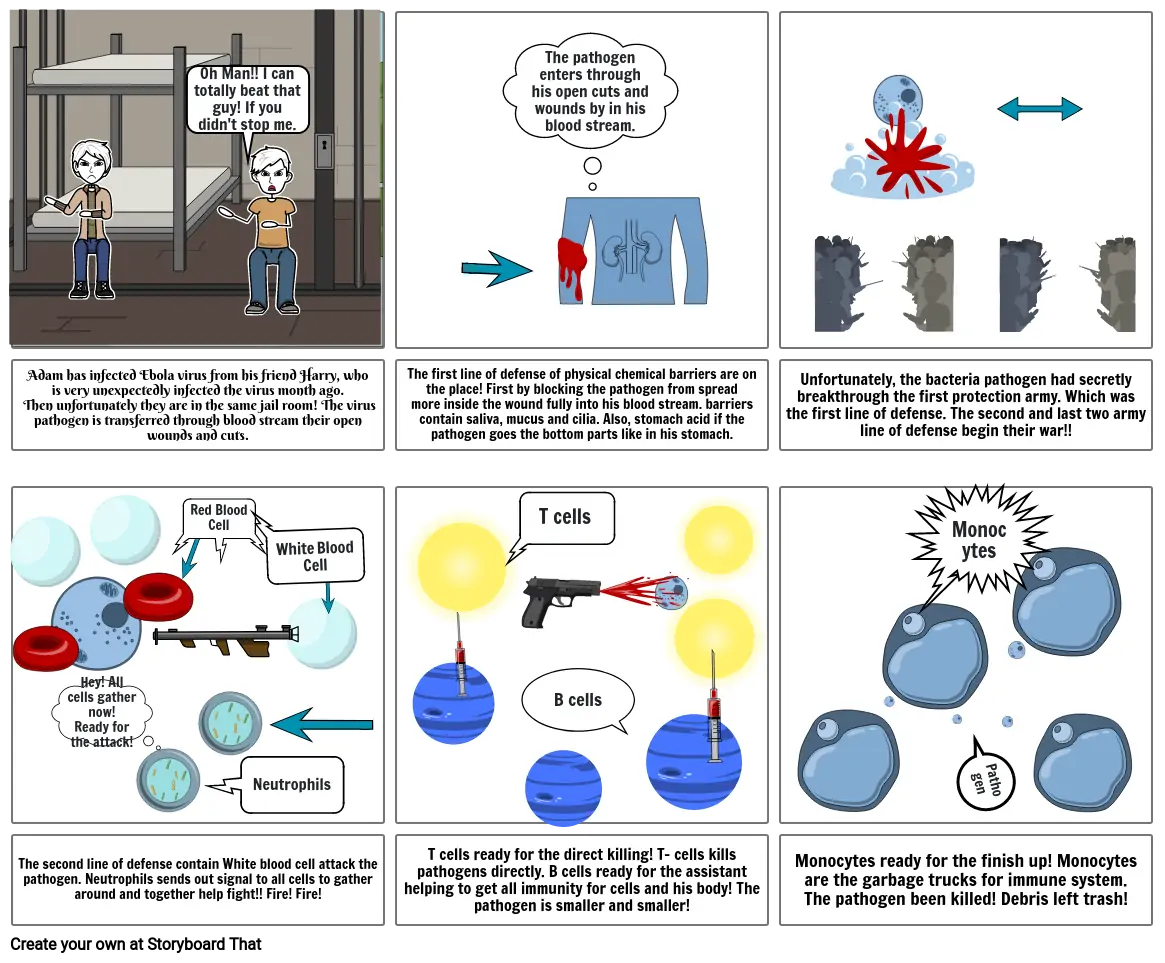 Immune System Storyboard