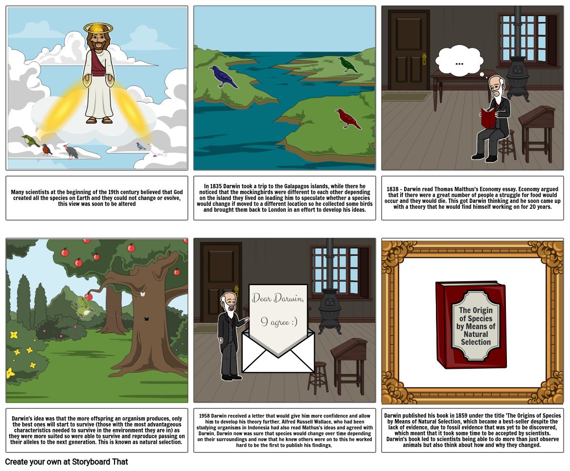 the-development-of-darwin-s-theory-storyboard-by-bdec5911