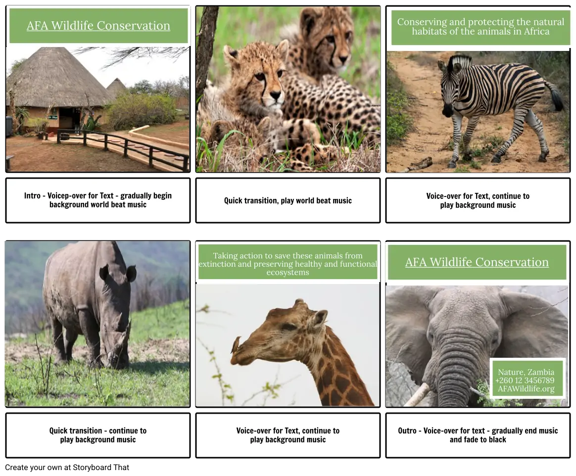 Safari Habitat Story Board