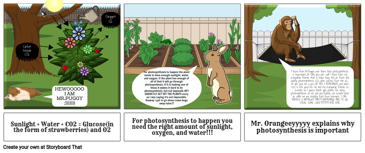 Photosynthesis Comic : Class I Science (Mahendra-Rajah)