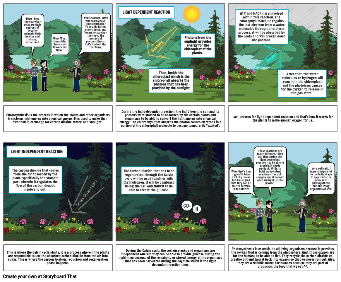 photosynthesis-storyboard-by-bed4a4a2