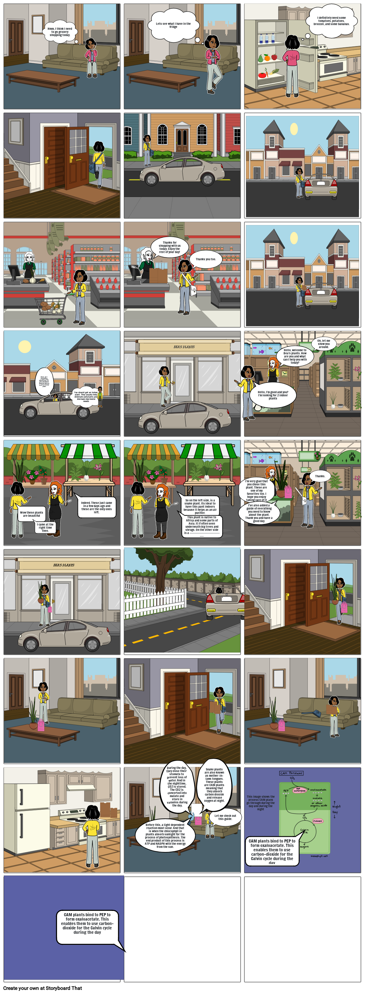 Photosynthesis Storyboard Por Bekua13